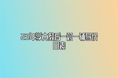 23年学大教育一对一辅导价目表