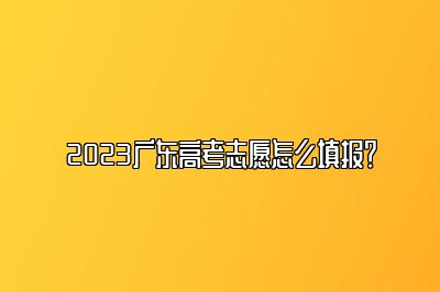 2023广东高考志愿怎么填报？