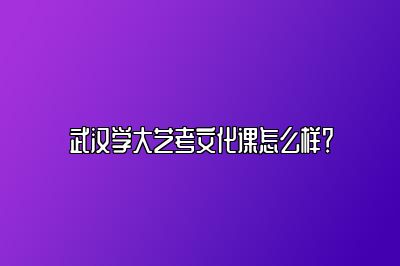 武汉学大艺考文化课怎么样？