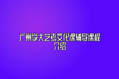 广州学大艺考文化课辅导课程介绍