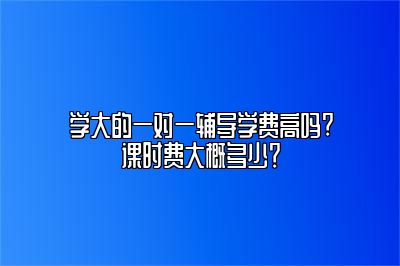 学大的一对一辅导学费高吗?课时费大概多少？