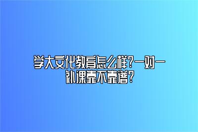 学大文化教育怎么样?一对一补课靠不靠谱?