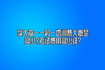 学大高一一对一培训费大概是多少?考试费用多少钱?