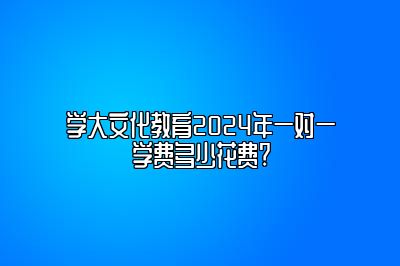 学大文化教育2024年一对一学费多少花费?