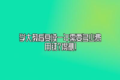 学大教育复读一年需要多少费用钱？揭秘！