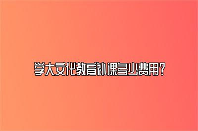 学大文化教育补课多少费用？