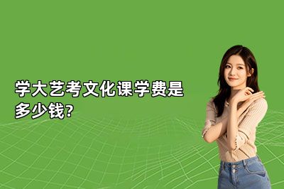 学大艺考文化课学费是多少钱?