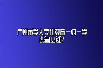广州市学大文化教育一对一学费多少钱?