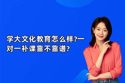 学大文化教育怎么样?一对一补课靠不靠谱?