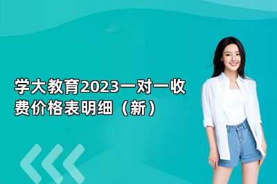 学大教育2023一对一收费价格表明细（新）